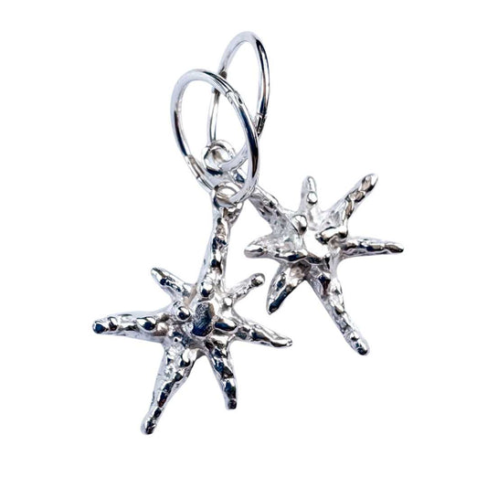 Faerie Star Charm Earrings - HerbertandWilks Jewellery