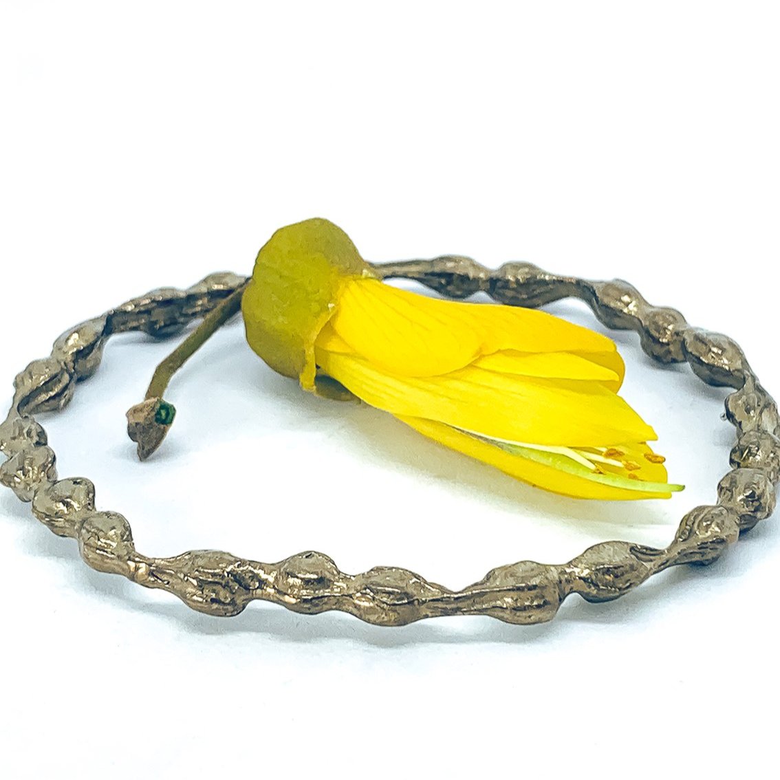 Kowhai Pod Bronze Bangle - HerbertandWilks Jewellery